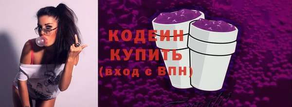 дживик Белокуриха