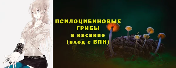 дживик Белокуриха
