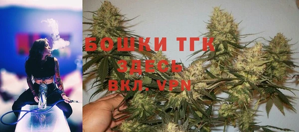 дживик Белокуриха