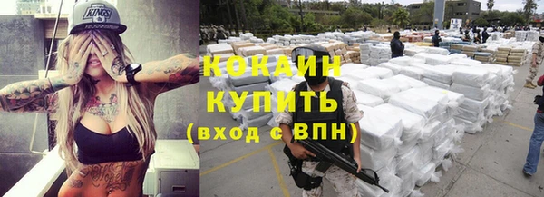 дживик Белокуриха