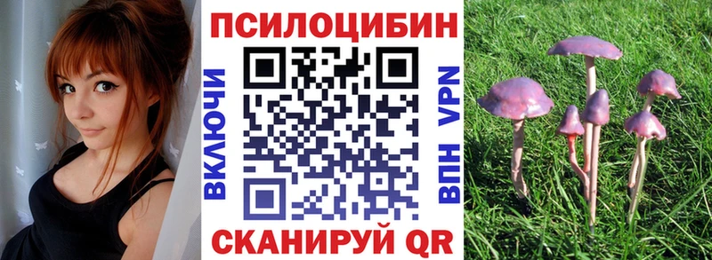 Галлюциногенные грибы Psilocybe Высоцк